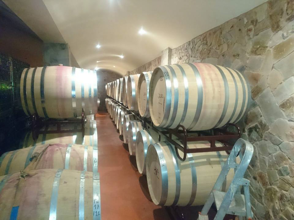 MUNDO DOS VINHOS1