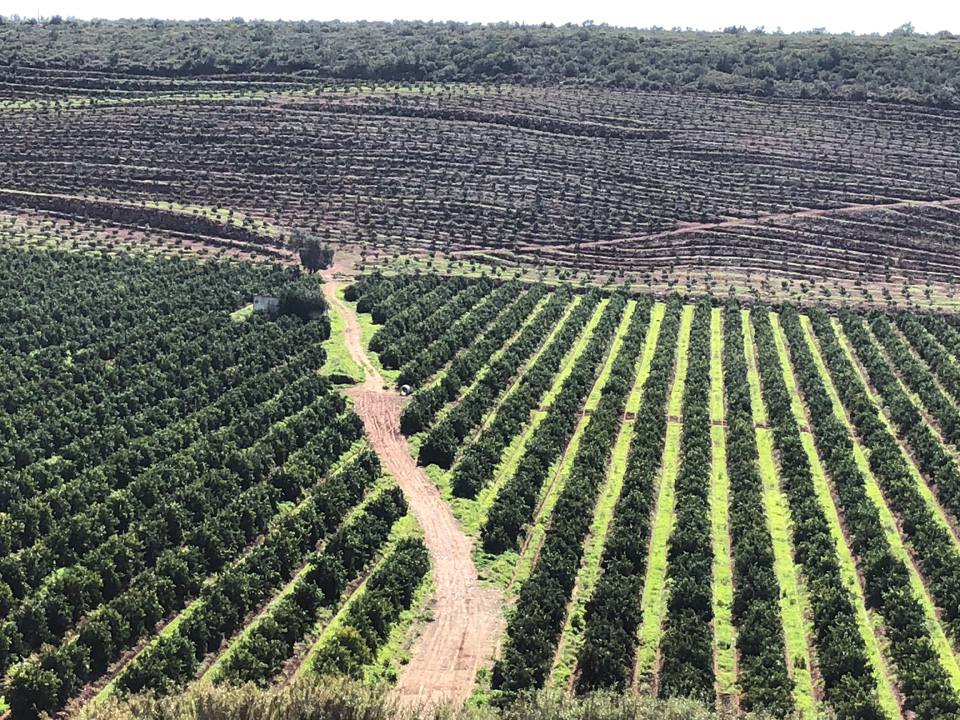 MUNDO DOS VINHOS4