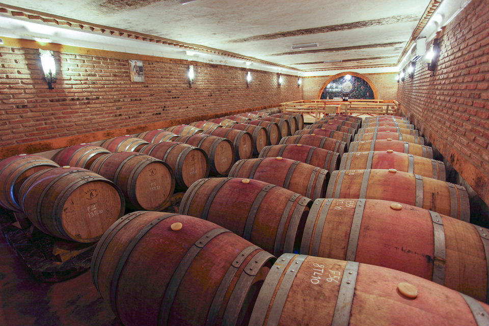 MUNDO DOS VINHOS6