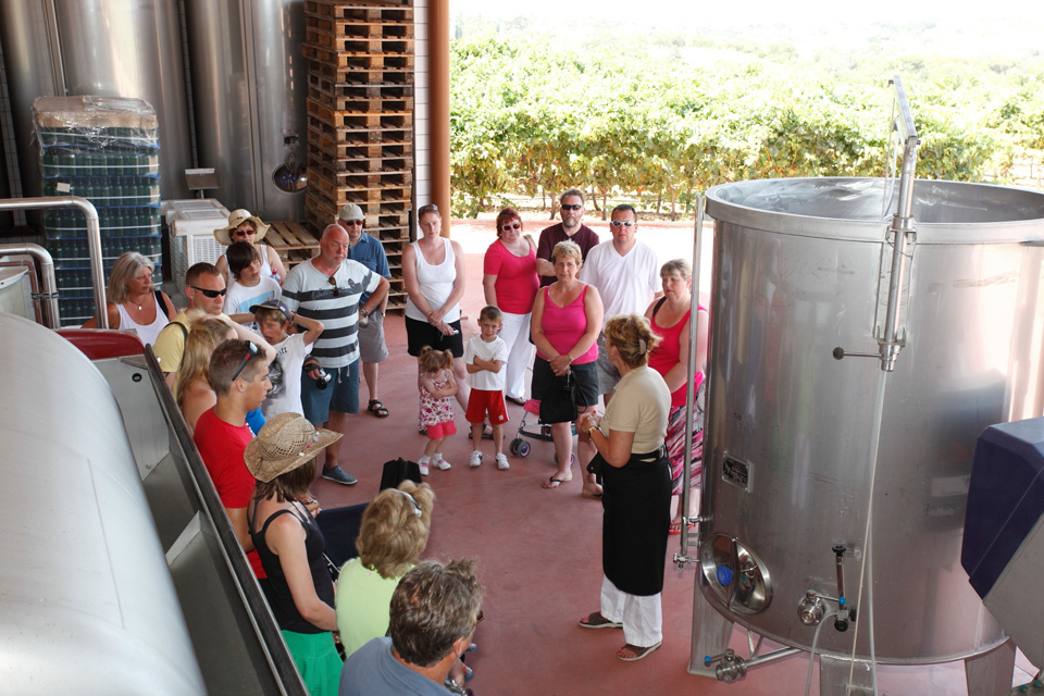 MUNDO DOS VINHOS8