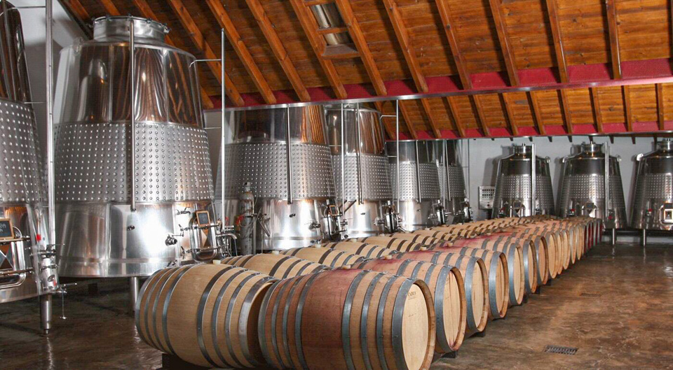 MUNDO DOS VINHOS9