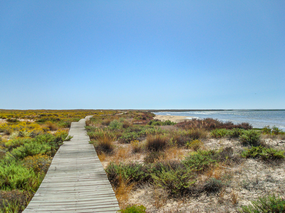RIA FORMOSA14