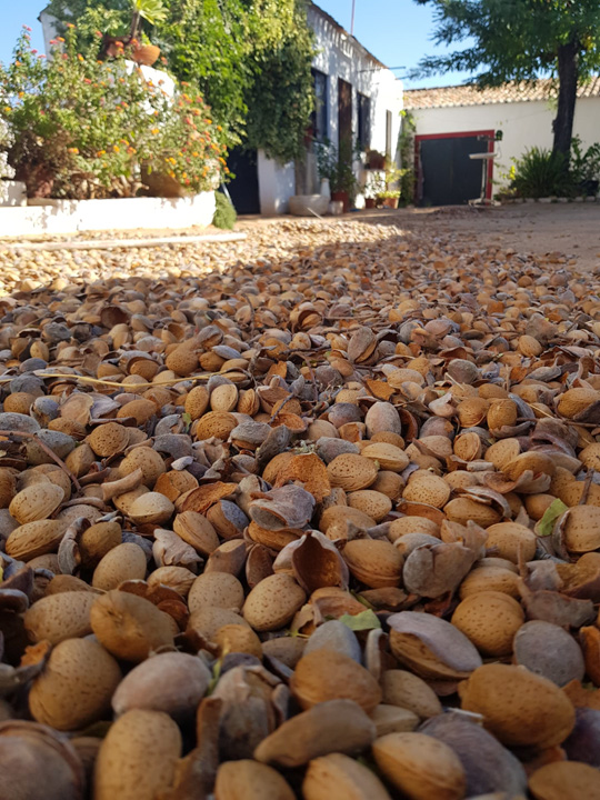 SABORES E TRADIÇÕES8