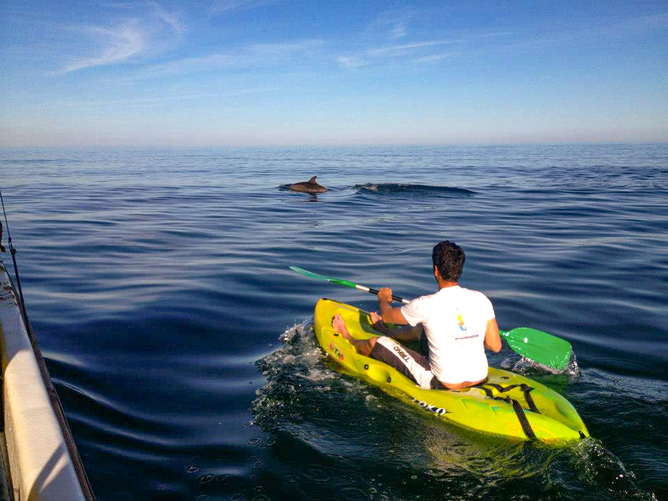 SAFARI-KAYAK6