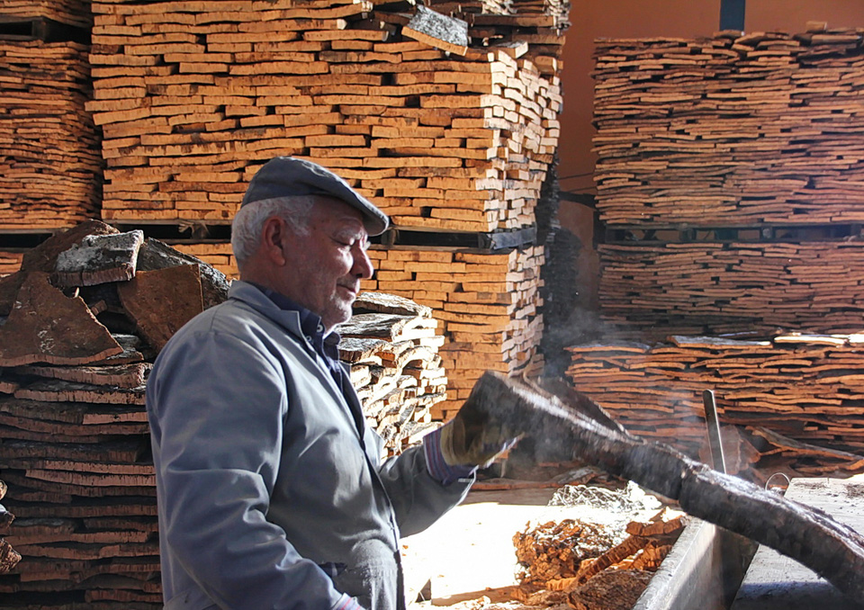 SEGREDOS DA CORTIÇA1