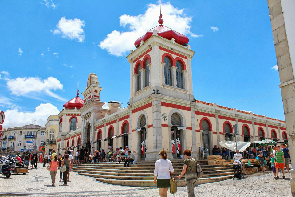 SEGREDOS DA CORTIÇA12