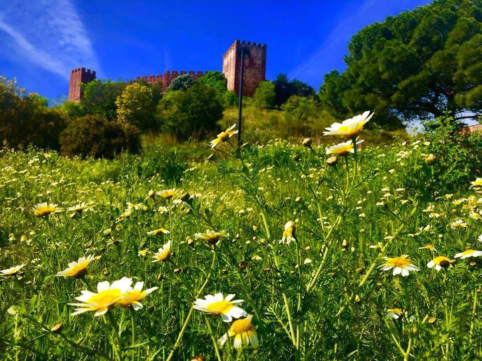 SILVES-MONCHIQUE20