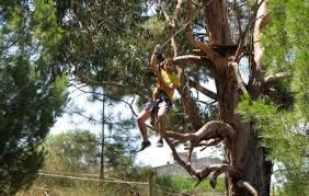 parque 8