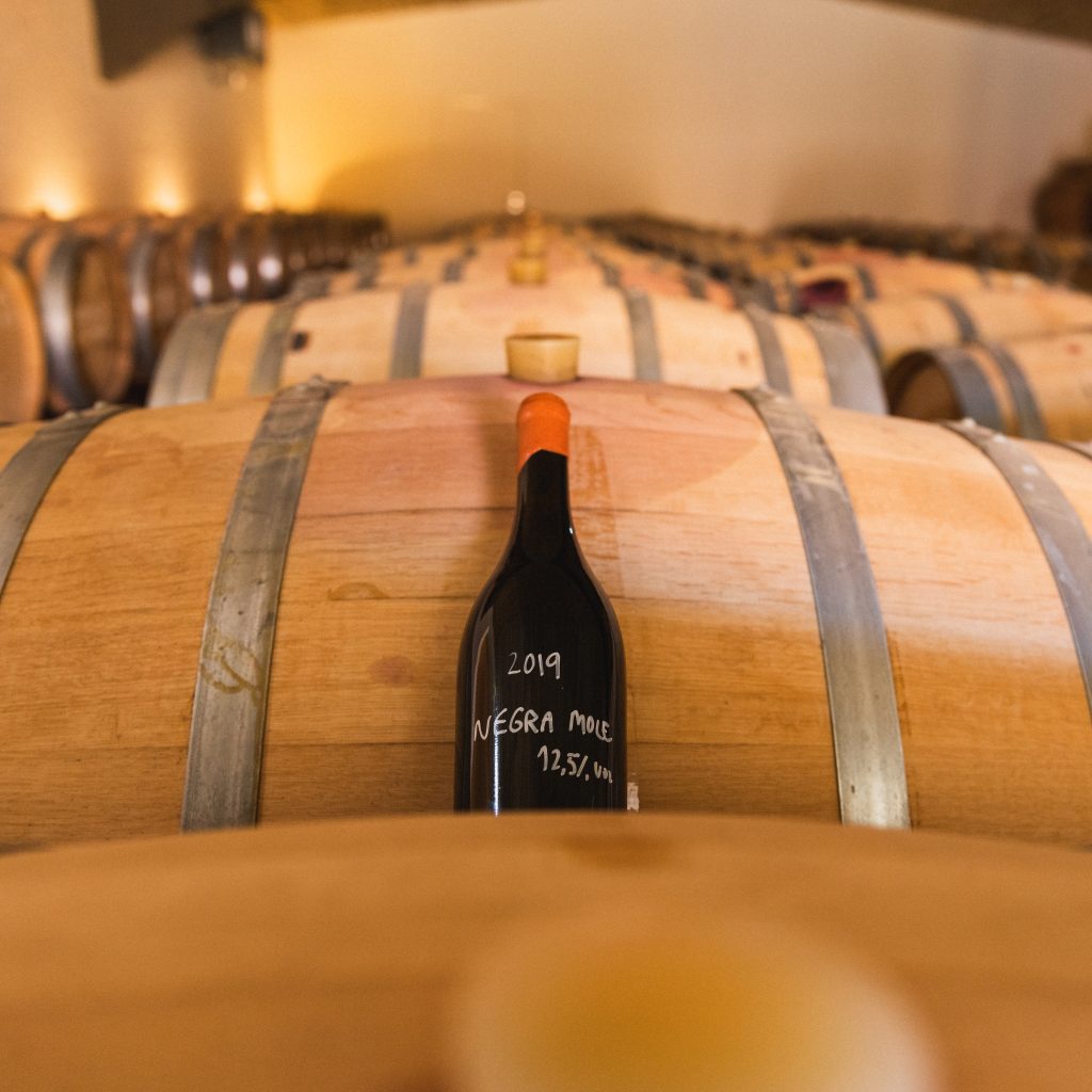 prova de vinhos 4