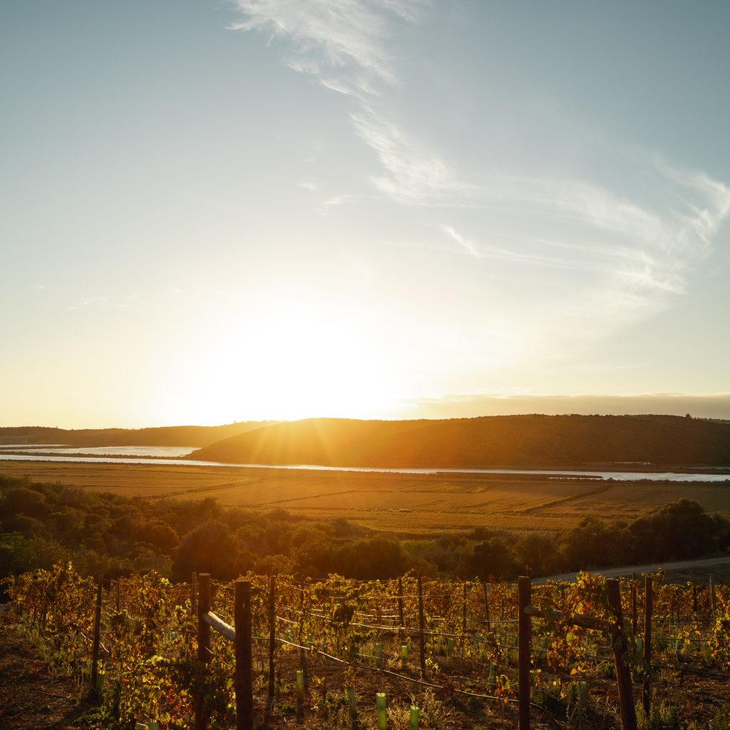 prova de vinhos 6